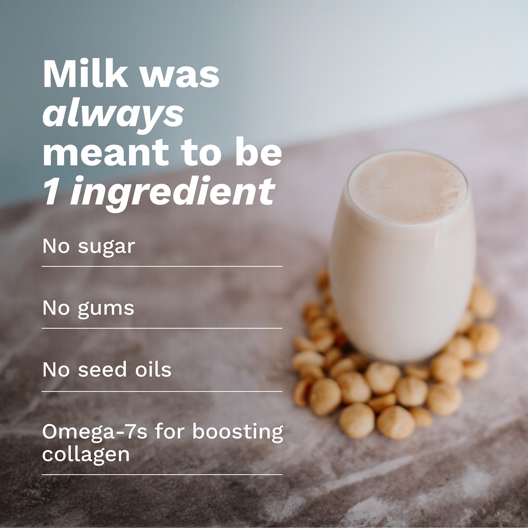 House of Macadamias 100% macadamia milk nut puree on-the-go sachet – plant-based, vegan, dairy-free, no seed oils, no gums, all natural, single ingredient, made from pure macadamias, creamy macadamia nut milk, healthy nut milk alternative