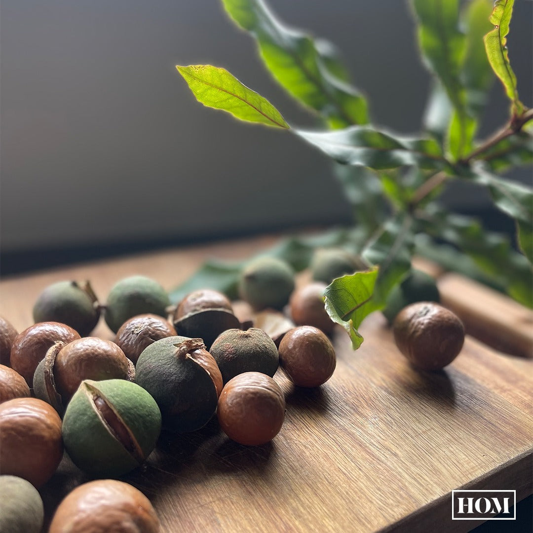 Whole macadamia nuts in their hard shells arranged on a wooden cutting board, with a nutcracker nearby