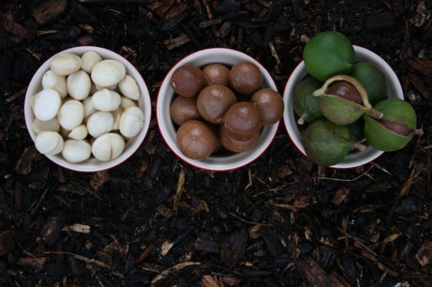 The Benefits of a Plant-Based Diet - House of Macadamias