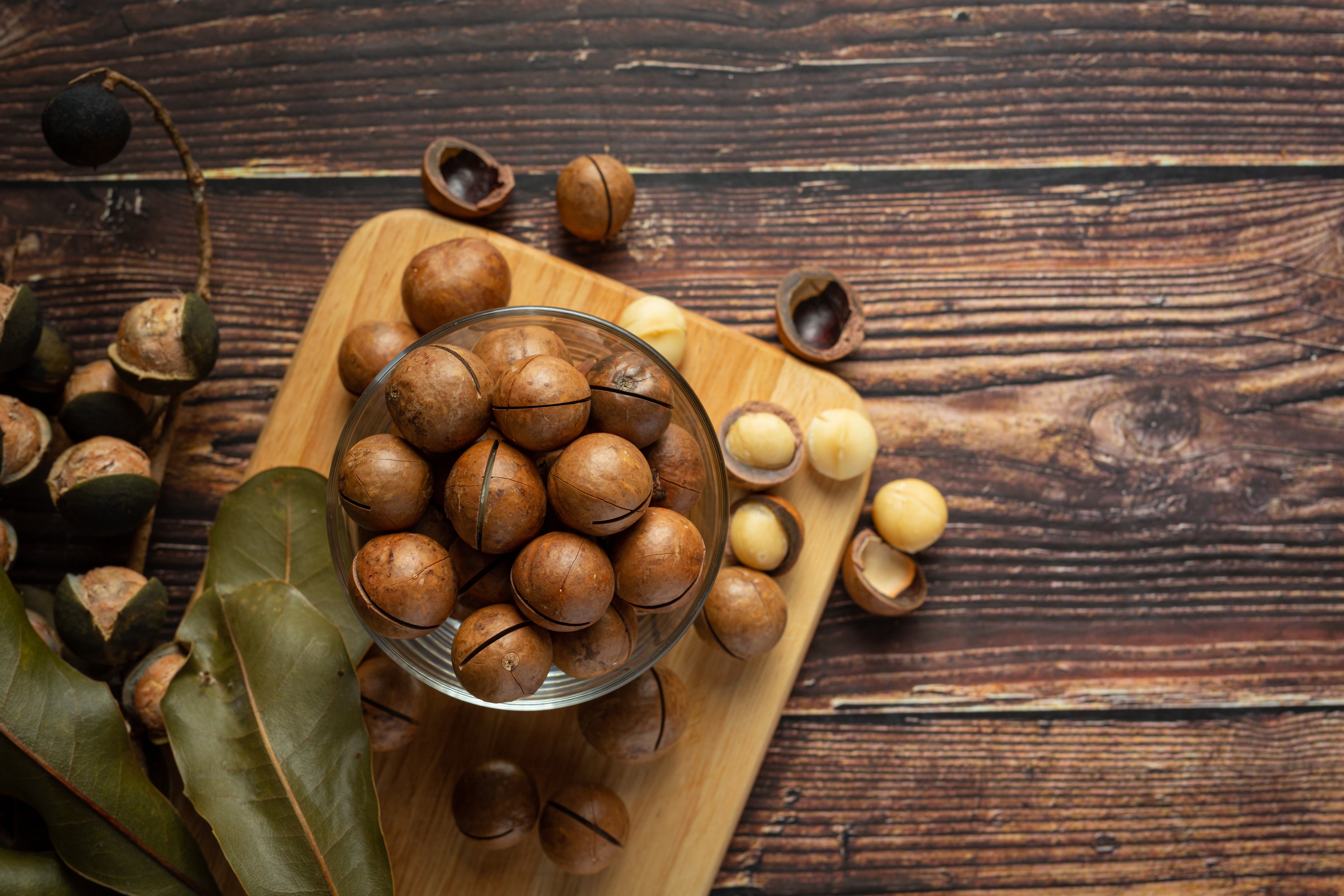 Sugar-free Snacking: The Way Forward - House of Macadamias