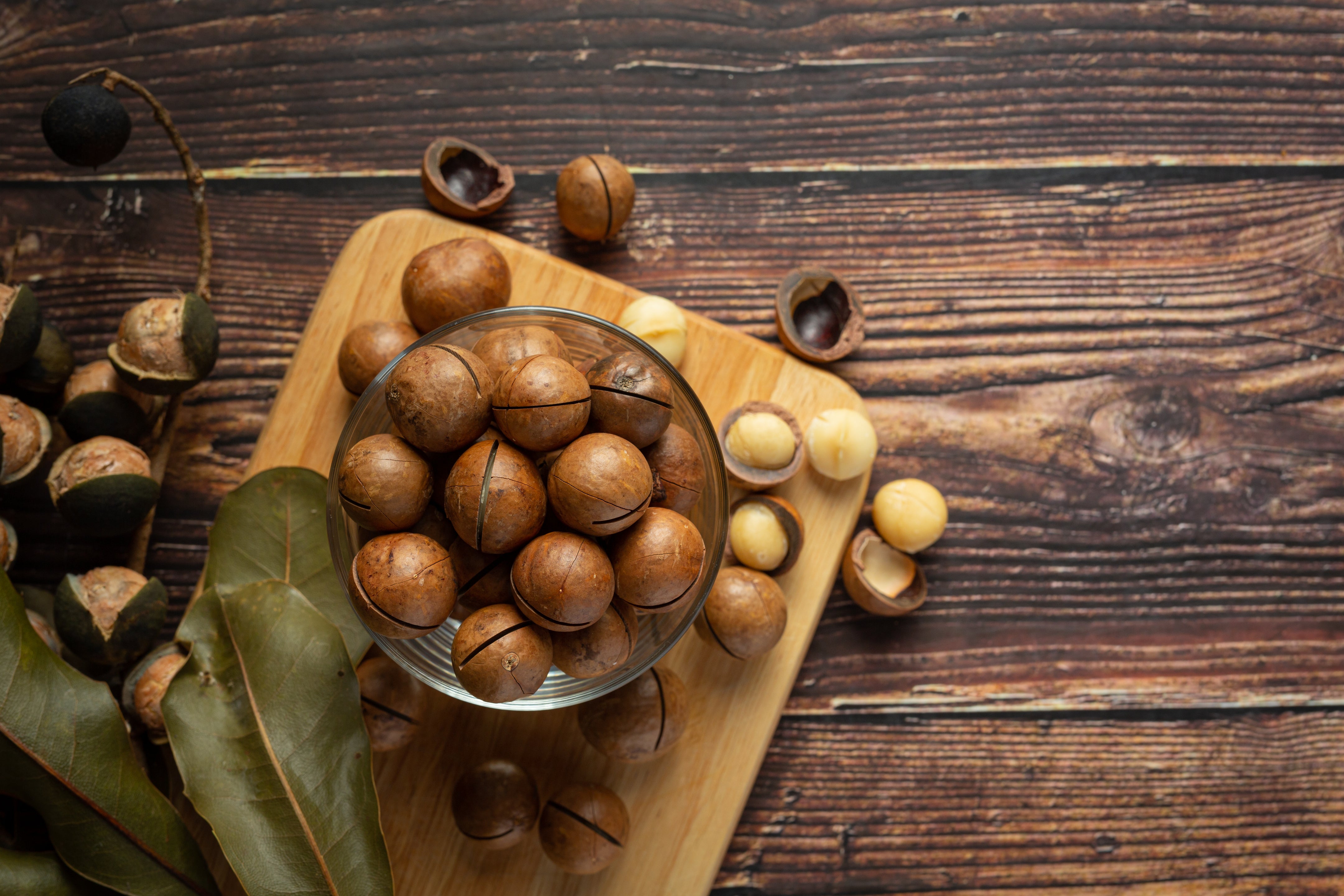 Sugar-free Snacking: The Way Forward - Blog | Macadamia Nuts, Macadamia Nut Bars & More