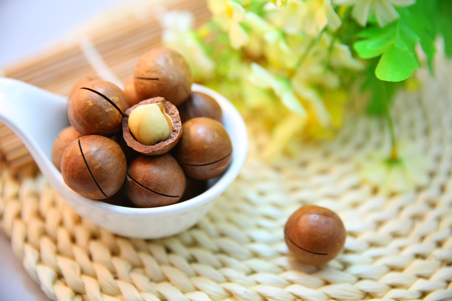 Super-charged Superfood: The Macadamia Nut - Blog | Macadamia Nuts, Macadamia Nut Bars & More