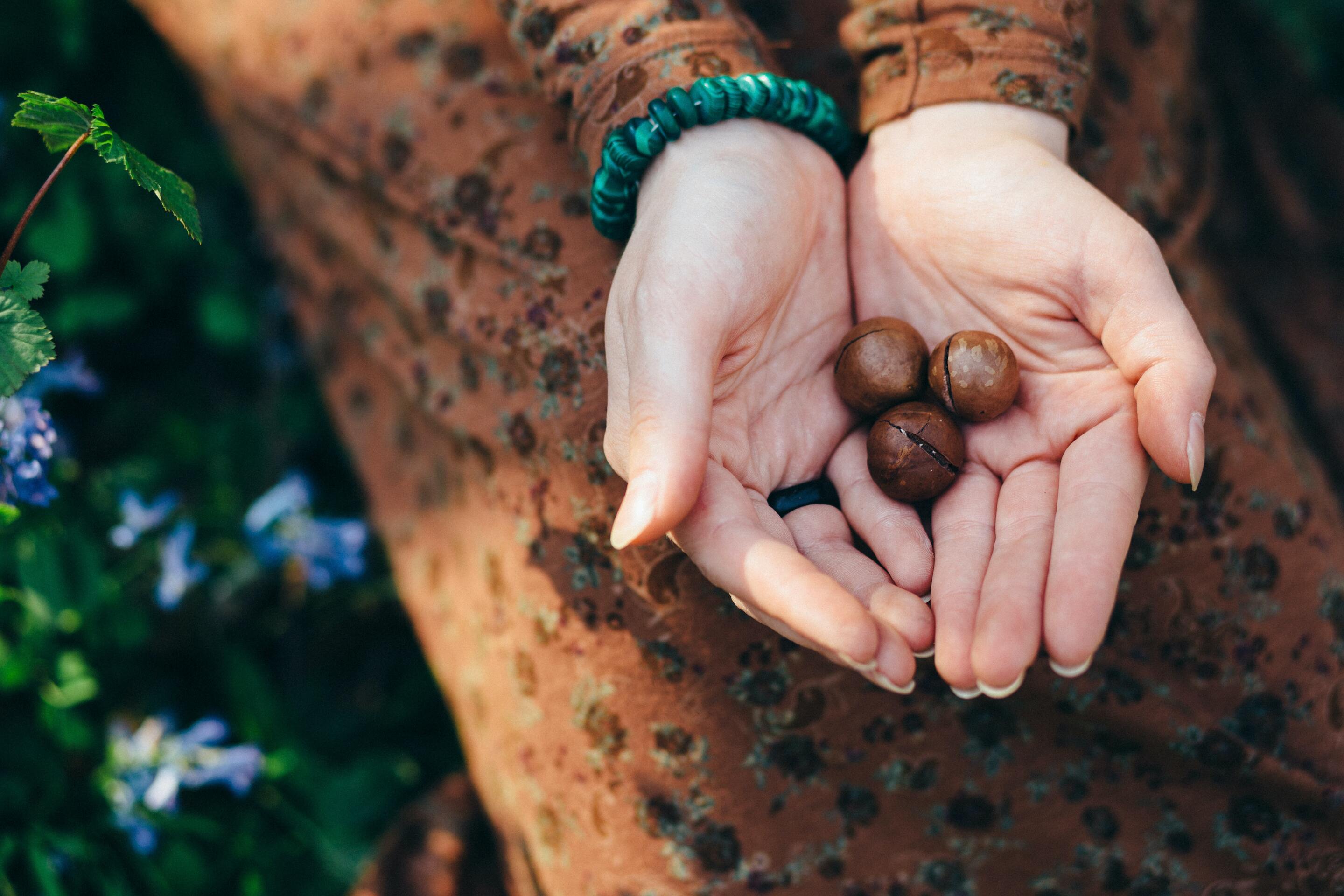 Shining the Light on Dark Chocolate - House of Macadamias