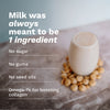 House of Macadamias 100% macadamia milk nut puree on-the-go sachet – plant-based, vegan, dairy-free, no seed oils, no gums, all natural, single ingredient, made from pure macadamias, creamy macadamia nut milk, healthy nut milk alternative
