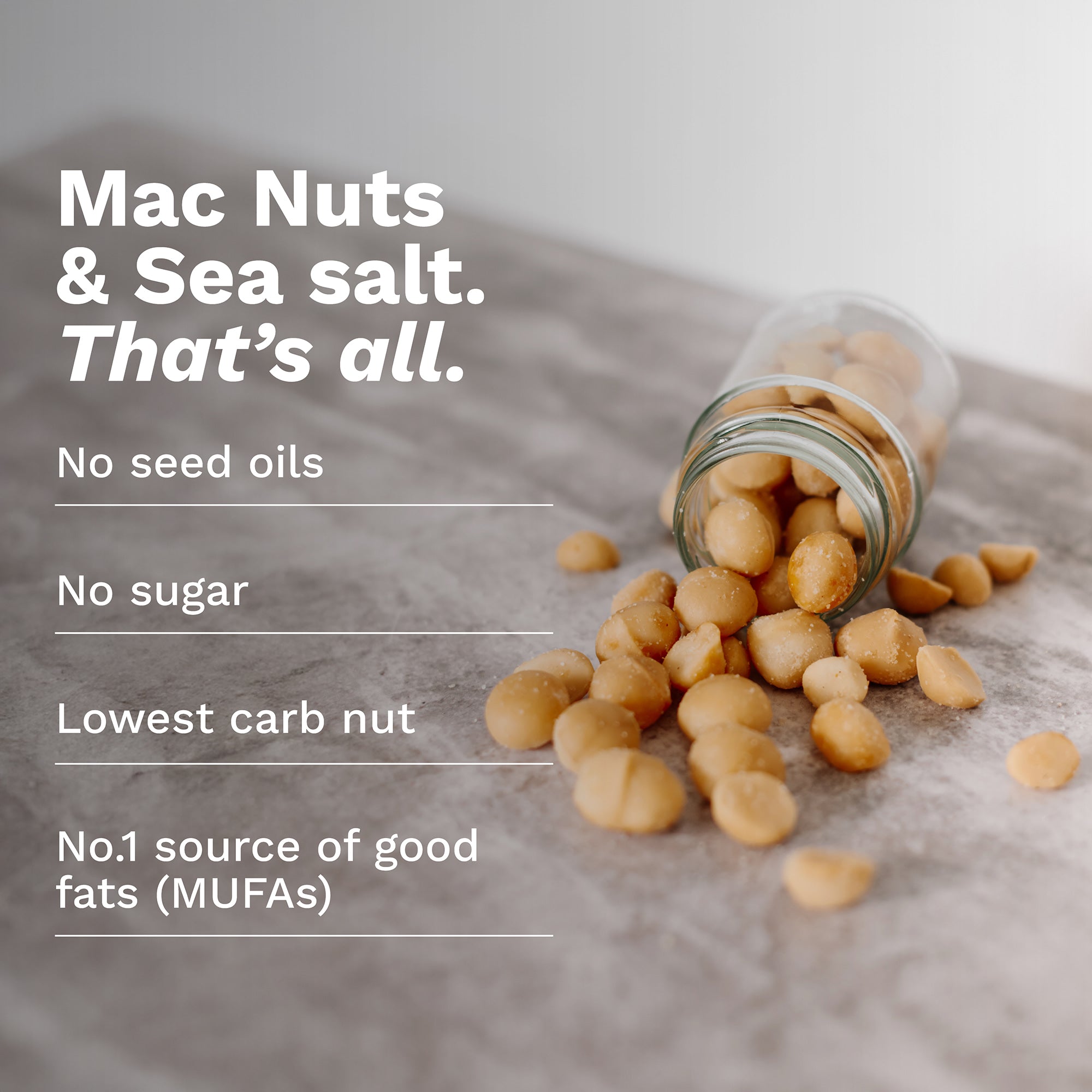 ouse of Macadamias Namibian Sea Salt Dry Roasted Macadamia Nuts – healthy snack with the lowest carbs, no seed oils, no sugar, keto-friendly, high in monounsaturated fats (MUFAs), No.1 source of good fats, nutritious premium roasted macadamias