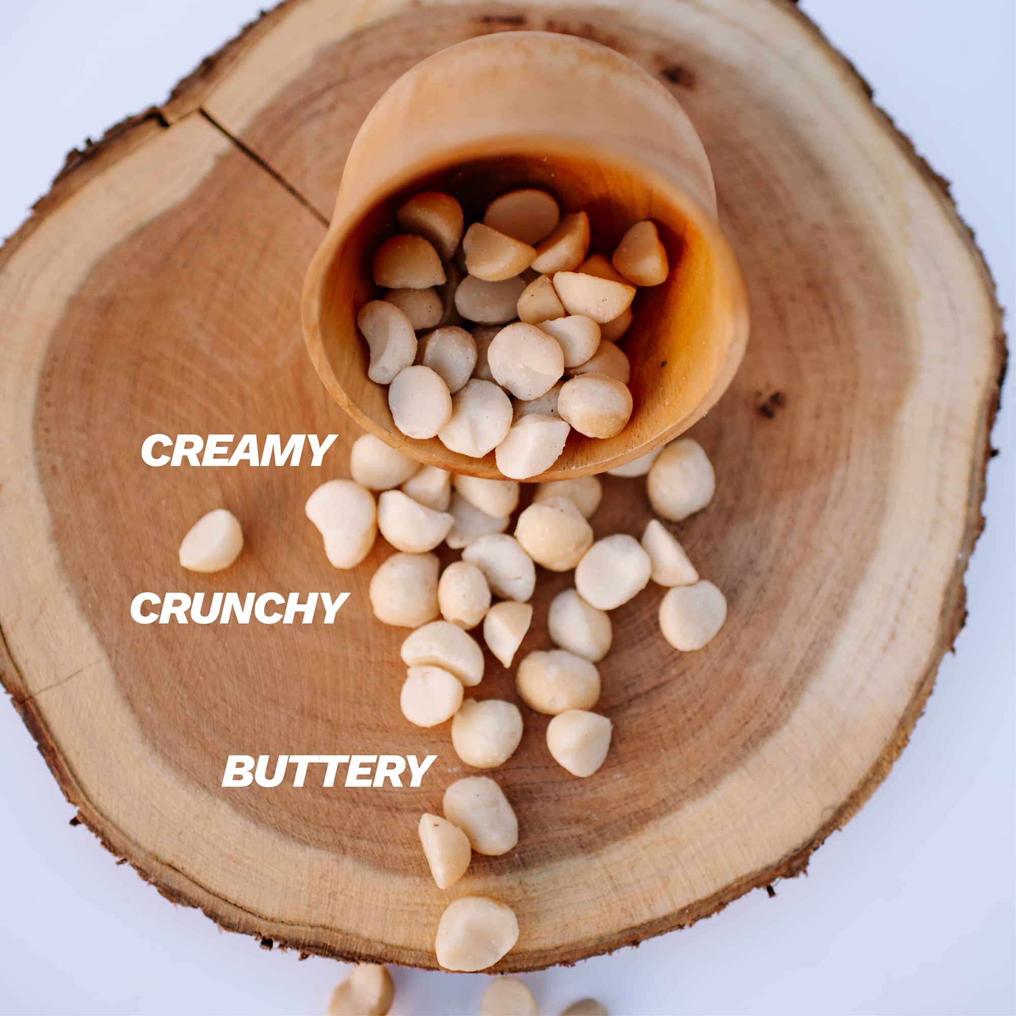 Raw macadamia nuts labeled creamy crunchy buttery.