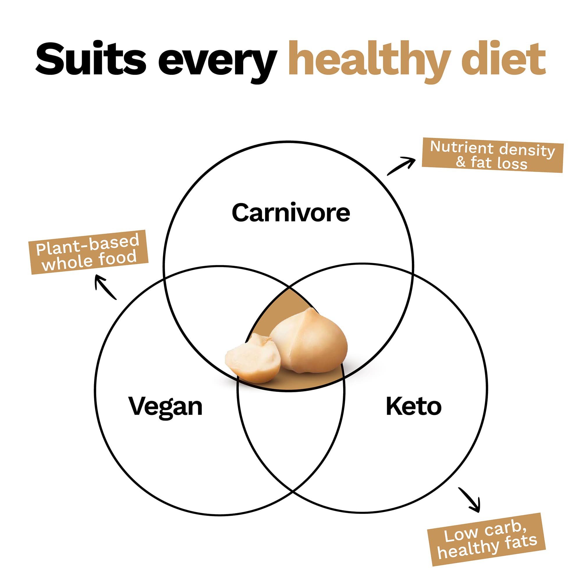 Raw macadamia nuts suitable for keto vegan and carnivore diets.