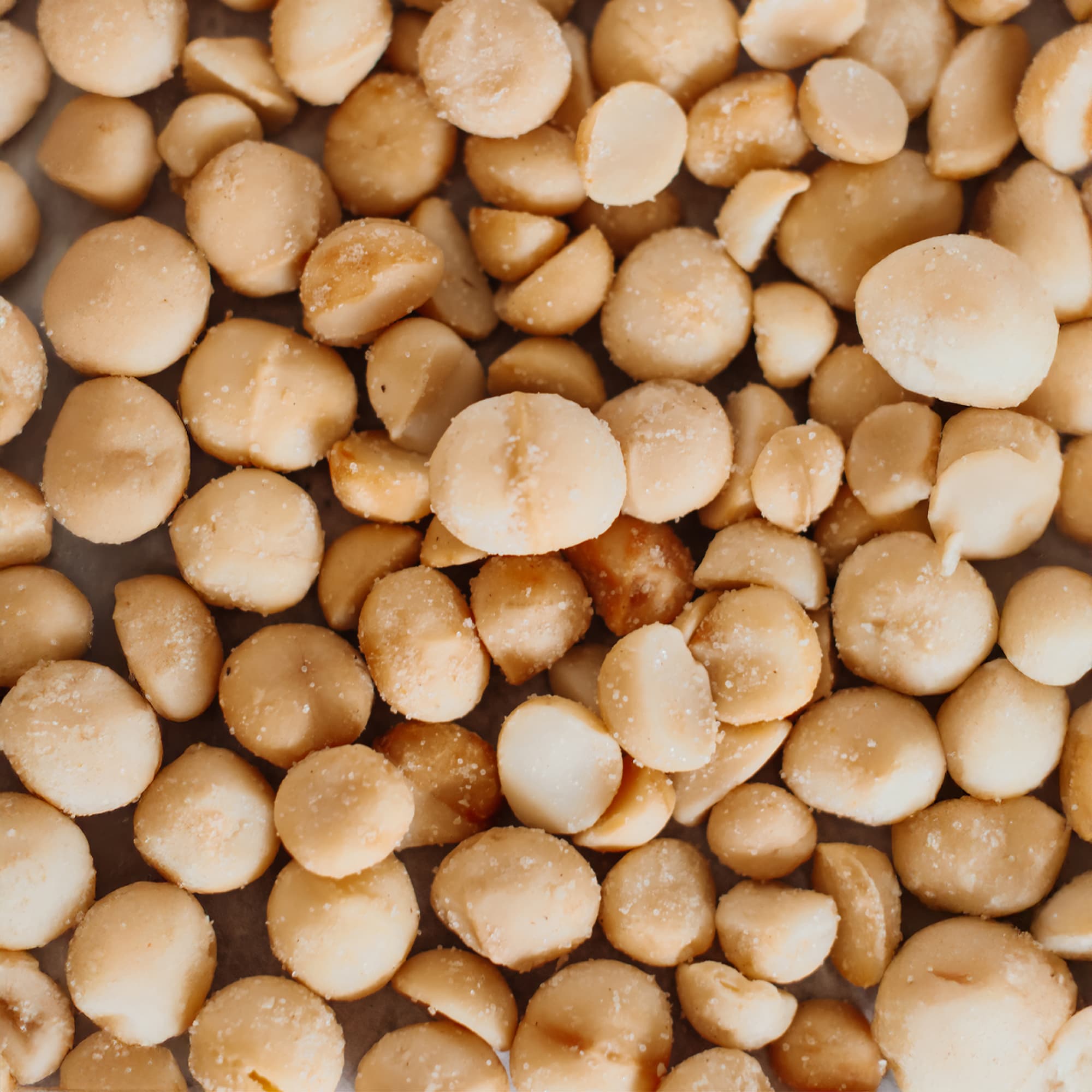 House of Macadamias 2lb sea salt roasted macadamias made with macadamia nuts and sea salt, all natural