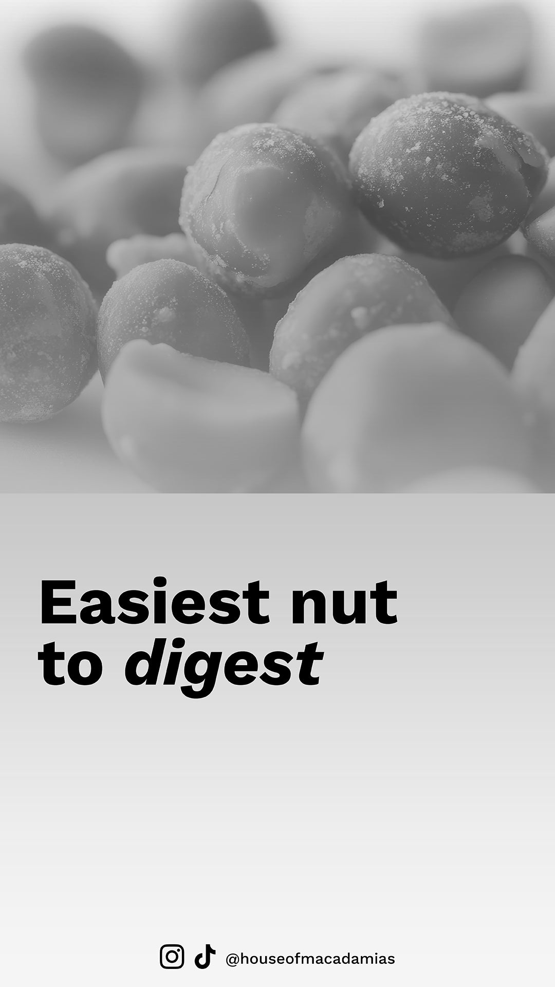 House of Macadamias Nutrition Need-to-Knows: Why Macadamias Are the Healthiest Nut — Nutrition Advice and Benefits
