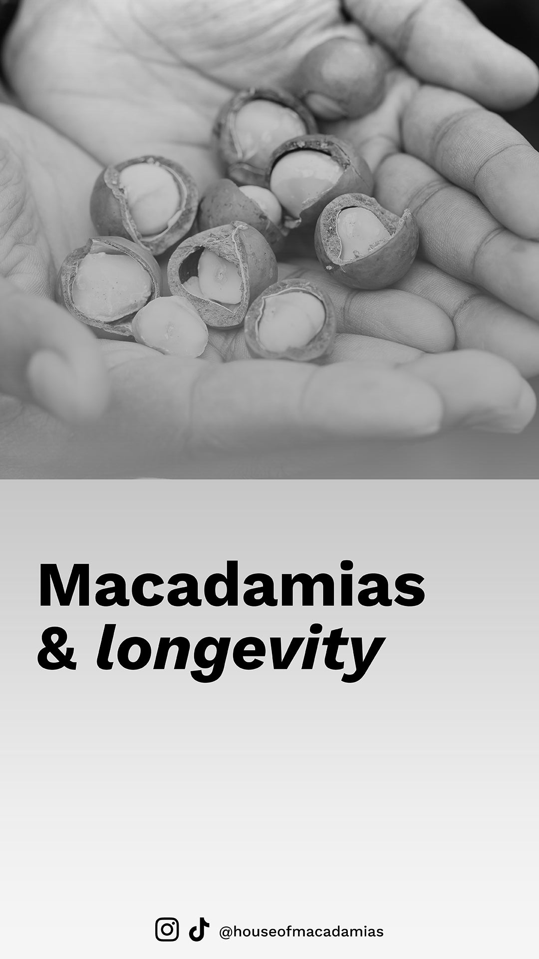 House of Macadamias Nutrition Need-to-Knows: Why Macadamias Are the Healthiest Nut — Nutrition Advice and Benefits