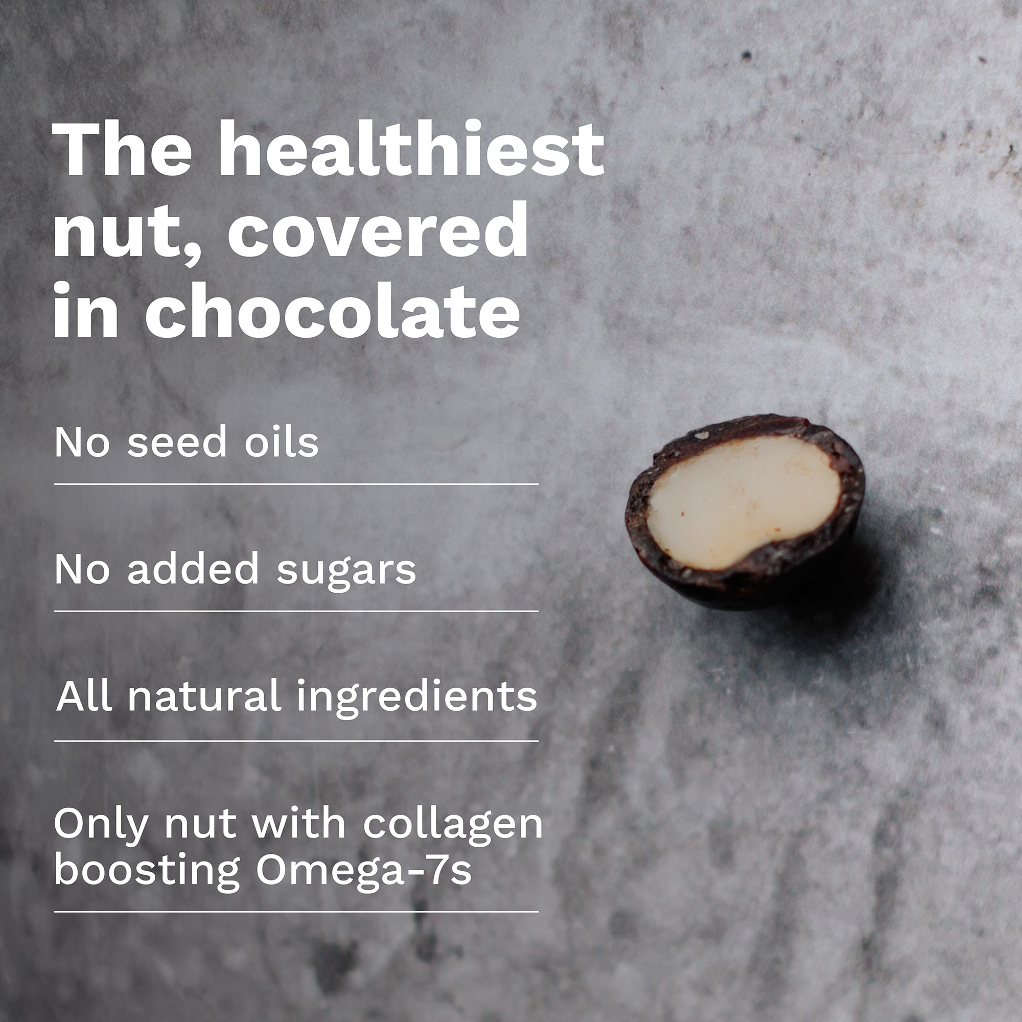 Chocolate Dipped Macadamia Nuts (12 Bags) - House of Macadamias